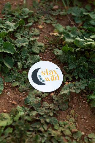 Stay Wild Decal - Live Life Clothing Co 